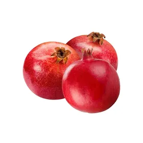 Ρόδια Εισαγωγής