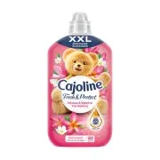 Cajoline Μαλακτικό Συμπυκνωμένο Λίλιου & Φρούτα του Δάσους 52μεζ 1,096lt
