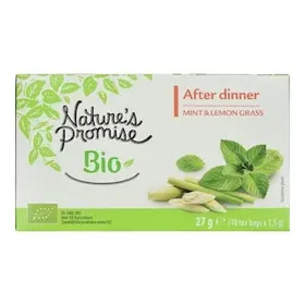NATURES PROMISE BIO Αφέψημα Bio με Μέντα και Λεμονόχορτο 27g