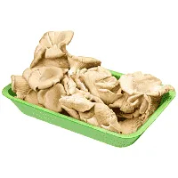 Μανιτάρια Πλευρώτους Ελληνικά 500gr