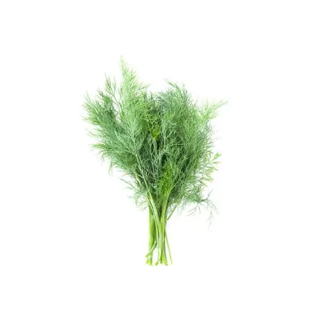 Άνηθος Εγχώριος 100g