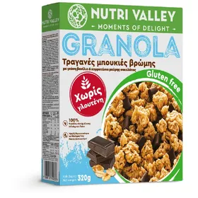 granola βανίλια σοκολάτα χωρίς γλουτένη