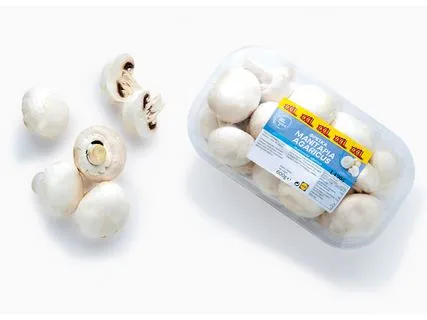 Μανιτάρια λευκά XXL Συσκ. 500 g + 100 g δώρο 1 Kg = 3,82€