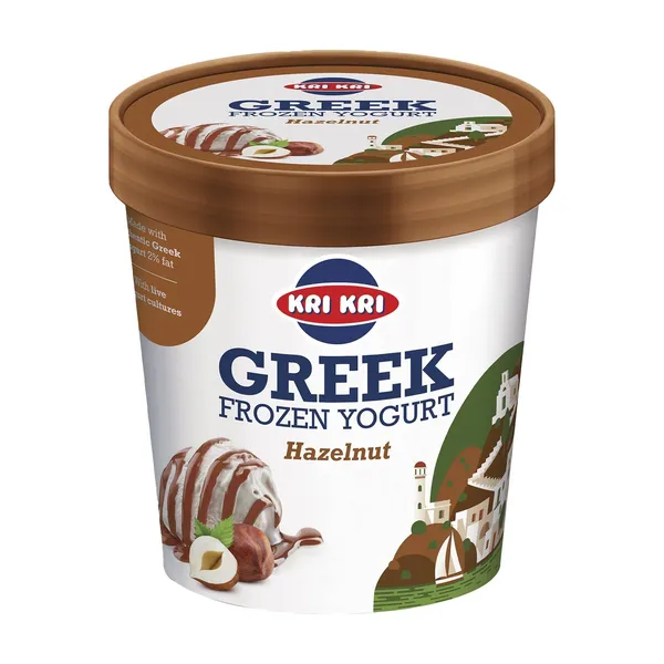 Παγωτό Frozen Yogurt Hazelnut 320g