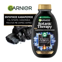 Σαμπουάν Εξισρρόπησης με Ενεργό Άνθρακα Botanic Therapy Garnier 400ml