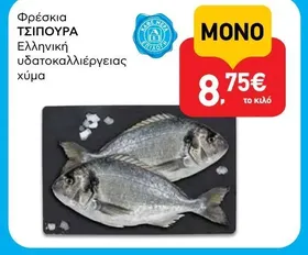 Φρέσκια ΤΣΙΠΟΥΡΑ Ελληνική υδατοκαλλιέργειας χύμα