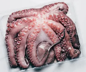 ΧΤΑΠΟΔΙ Μαρόκου Τ4 (1,5kg-2kg) bdja