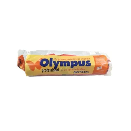 professional σακούλες απορριμμάτων 52x75cm 10τεμ