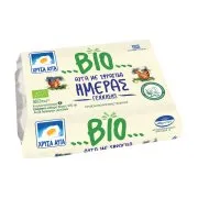 Αυγά Ημέρας ΧΡΥΣΑ ΑΥΓΑ Βιολογικά 6τεμ