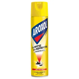 Εντομοκτόνο Spray Μύγες & Κουνούπια 300ml