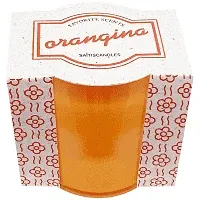 Saitis Κερί Ποτήρι Πλαστικό Σομόν Organgina 180gr